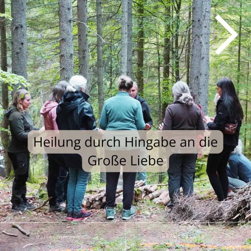Ich blicke mit Freude und Demut zurück auf ein wudervolles Jahr voller magischer Momente und gelebter Gemeinschaft mit meinen Student:innen meiner Intensiv-Ausbildung "Der Ruf des Raben" und die Ausbaulehrgänge wie "Der Flug des Raben"