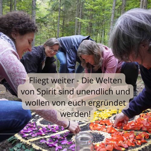 Ich blicke mit Freude und Demut zurück auf ein wudervolles Jahr voller magischer Momente und gelebter Gemeinschaft mit meinen Student:innen meiner Intensiv-Ausbildung "Der Ruf des Raben" und die Ausbaulehrgänge wie "Der Flug des Raben"