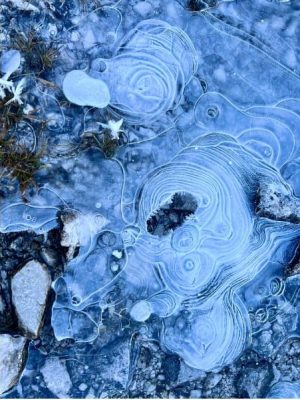 Darrelcombs.com Blog 022024 (4)